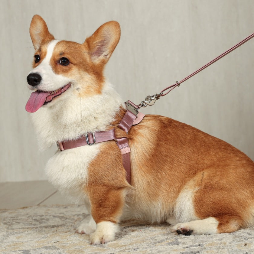 Horsebit Harness : Pink