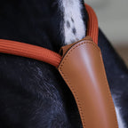 All-In-One Harness - Orange