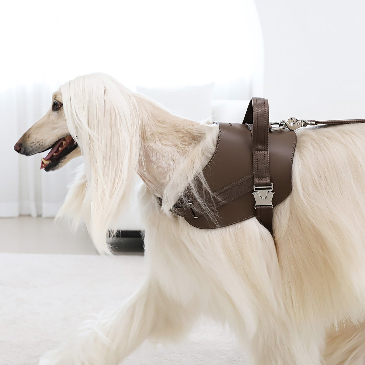Saddle Harness : Pink