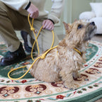 All-In-One Harness - Mustard