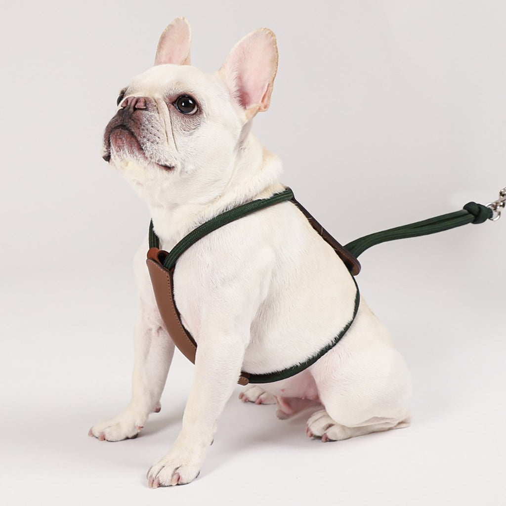 Essential Harness - Deep Green