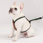 Essential Harness - Deep Green