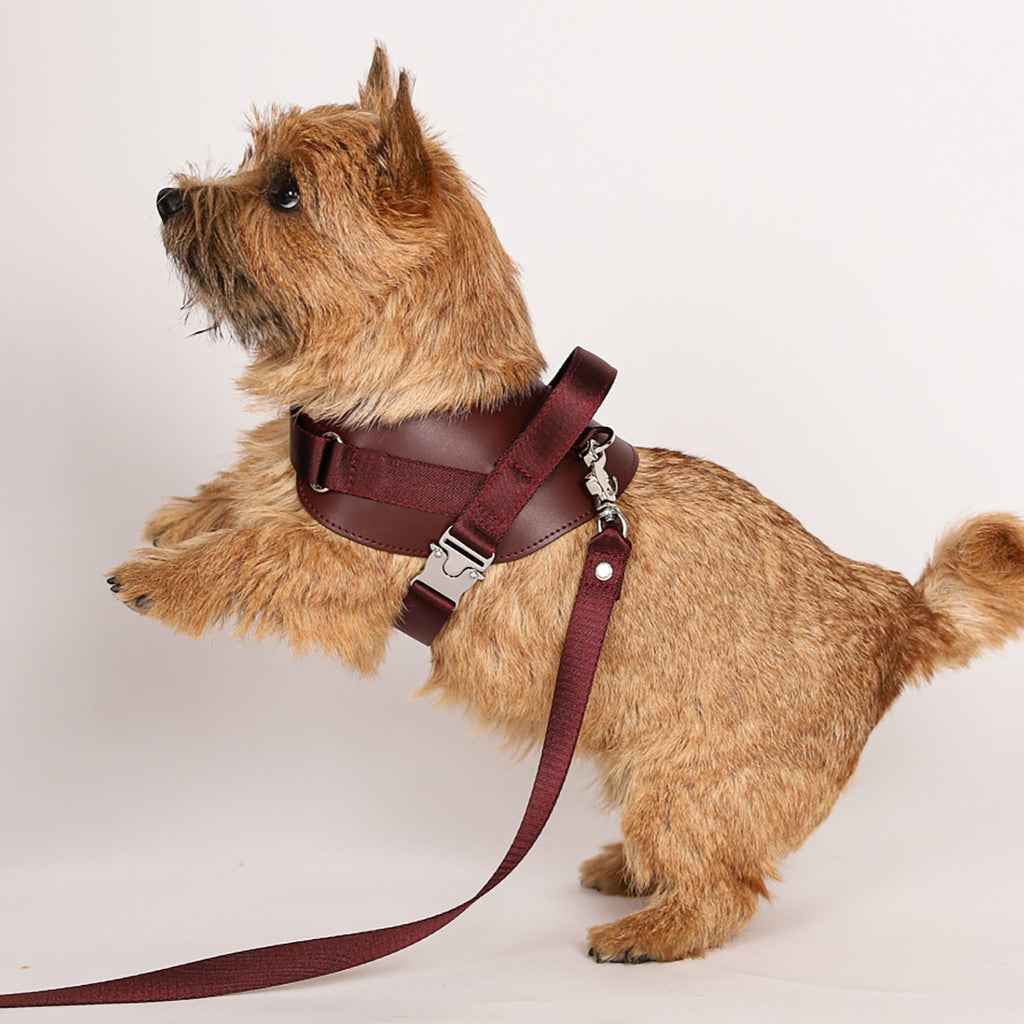 Saddle Harness : Burgundy