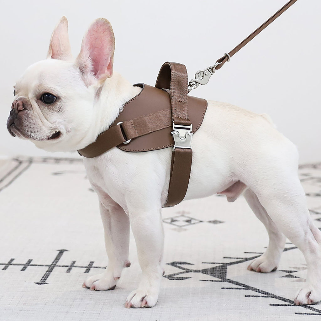 Saddle Harness : Mocha
