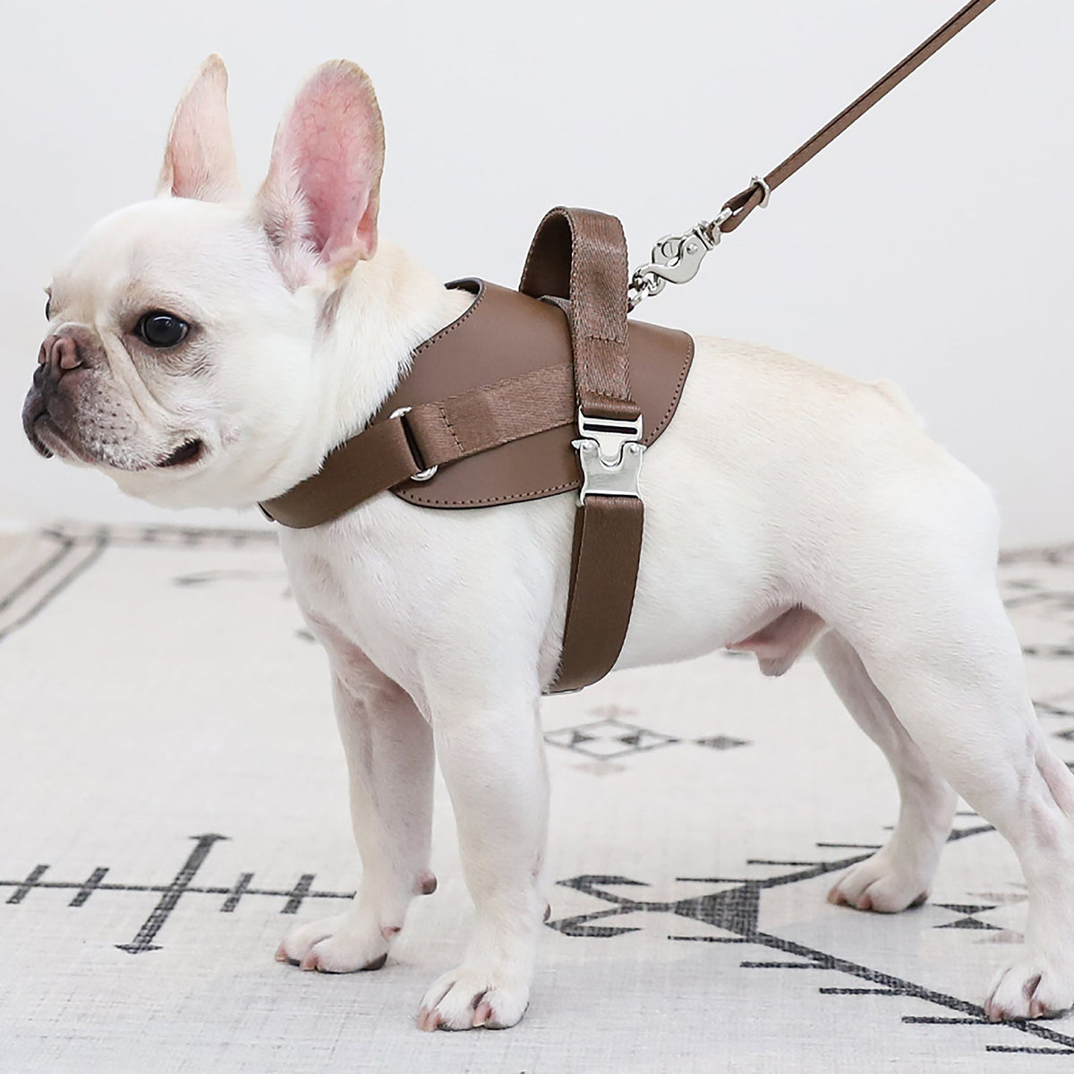 Saddle Harness : Mocha