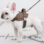 Saddle Harness : Pink
