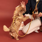 All-In-One Harness - Mustard