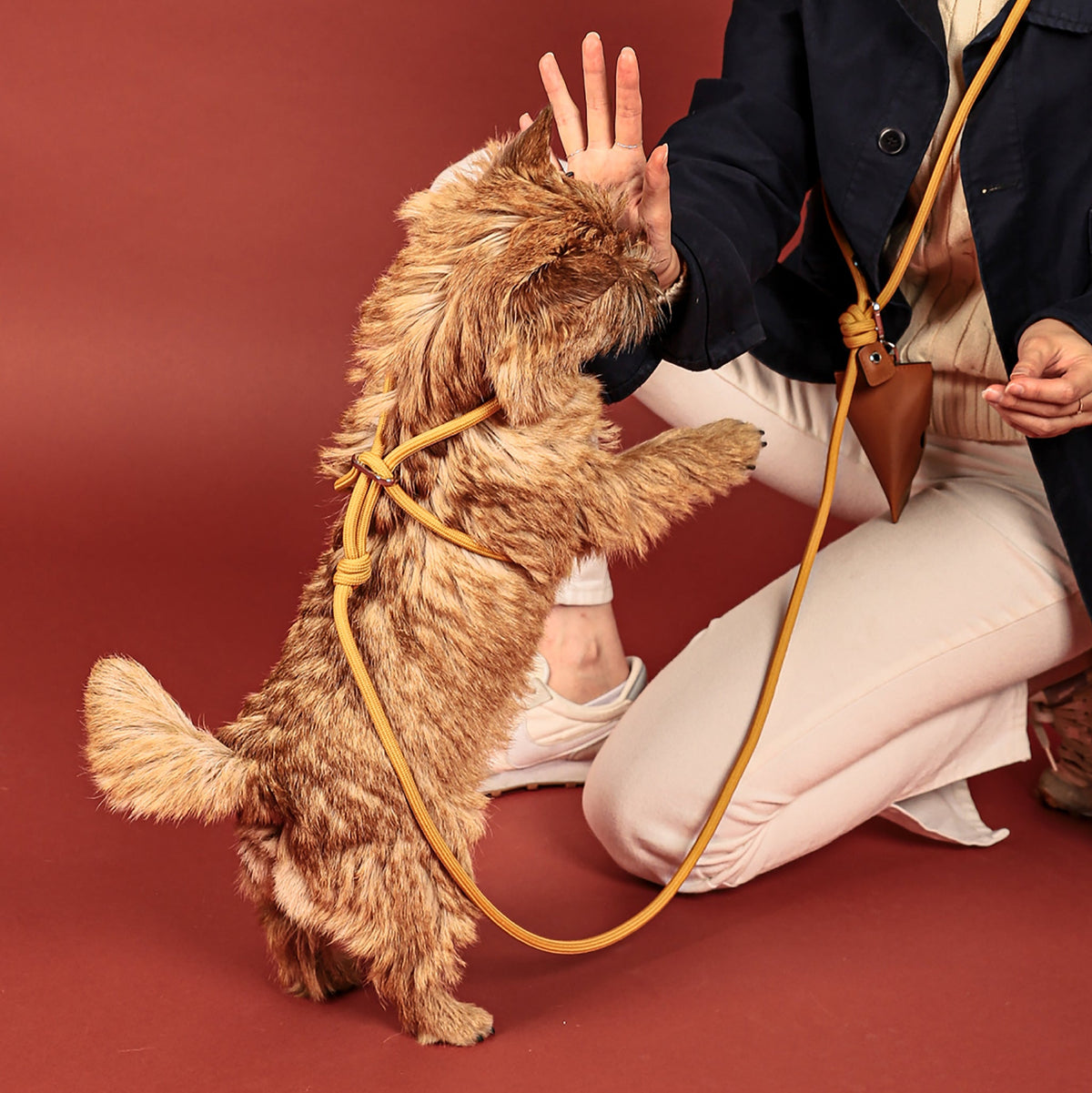 All-In-One Harness - Mustard
