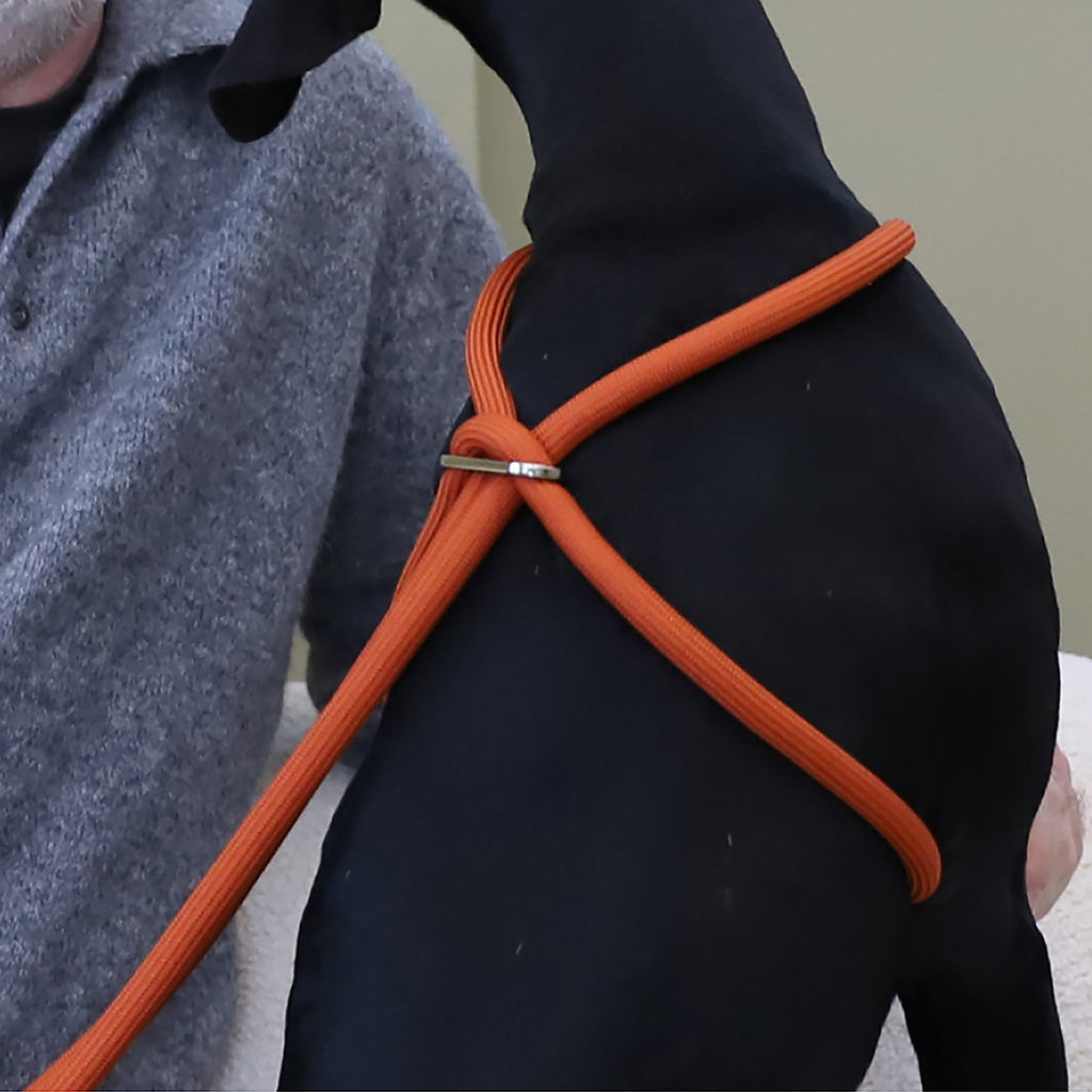 All-In-One Harness - Orange