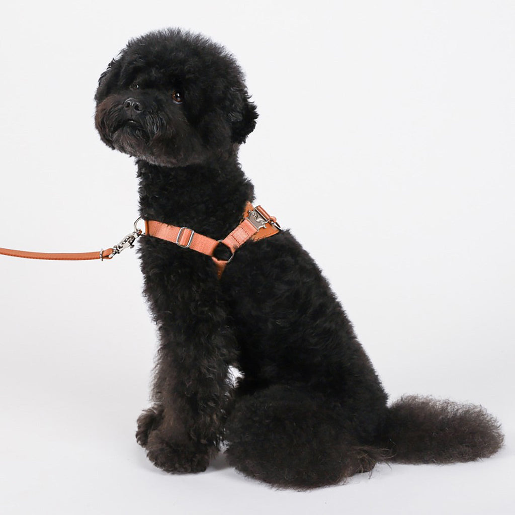 Horsebit Harness : Pink