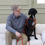 All-In-One Harness - Orange