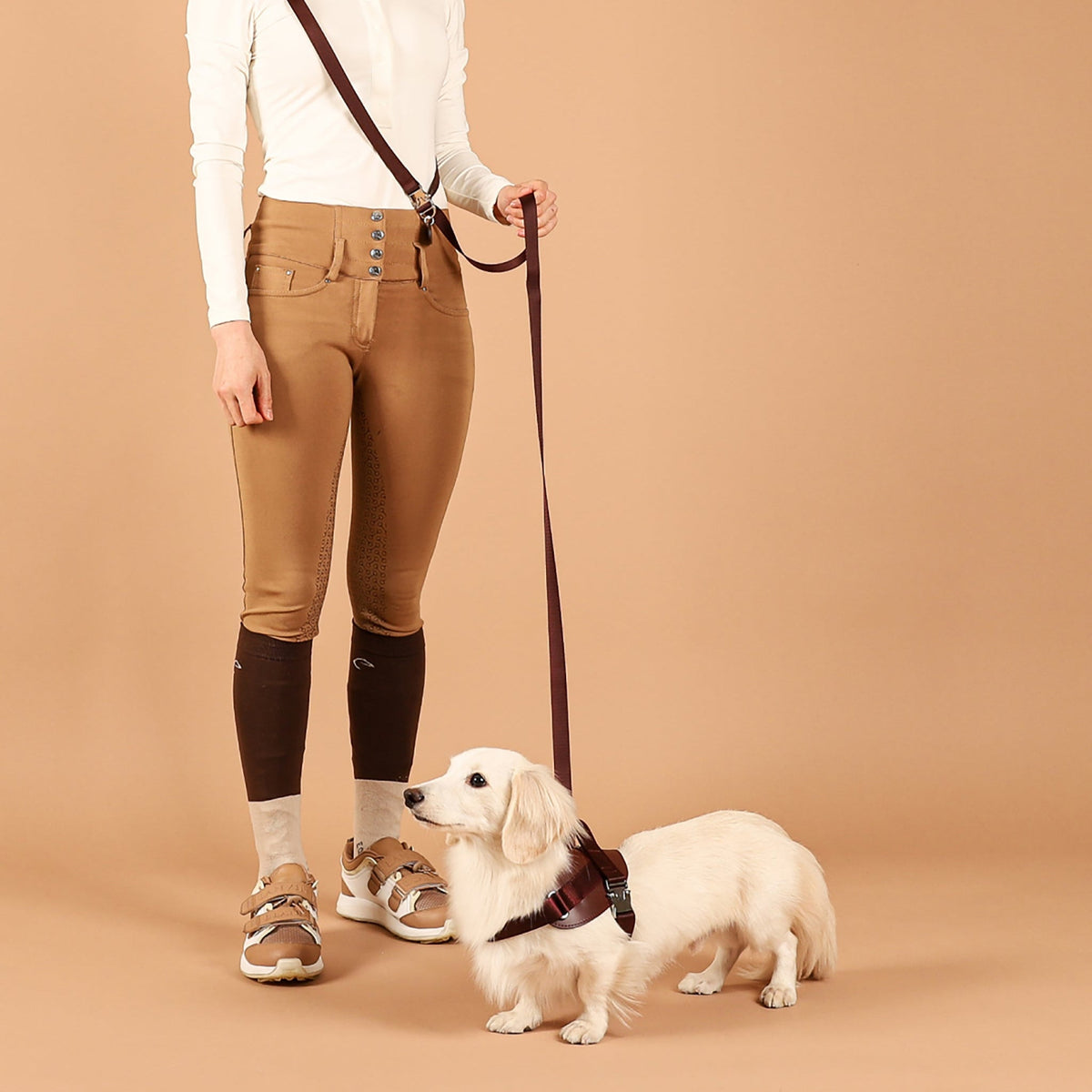 Saddle Harness : Burgundy