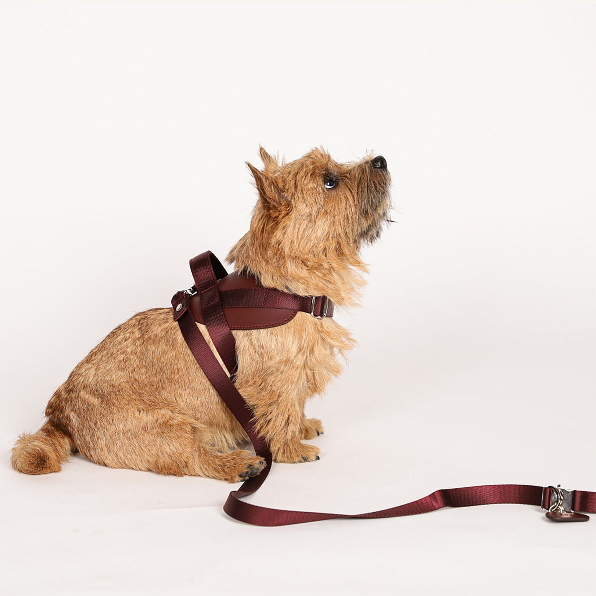Saddle Harness : Burgundy