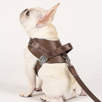 Saddle Harness : Pink