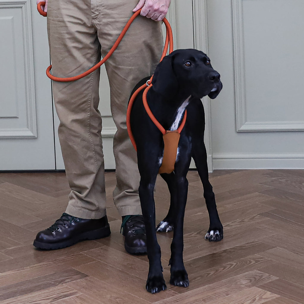 All-In-One Harness - Orange
