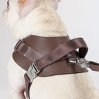 Saddle Harness : Pink