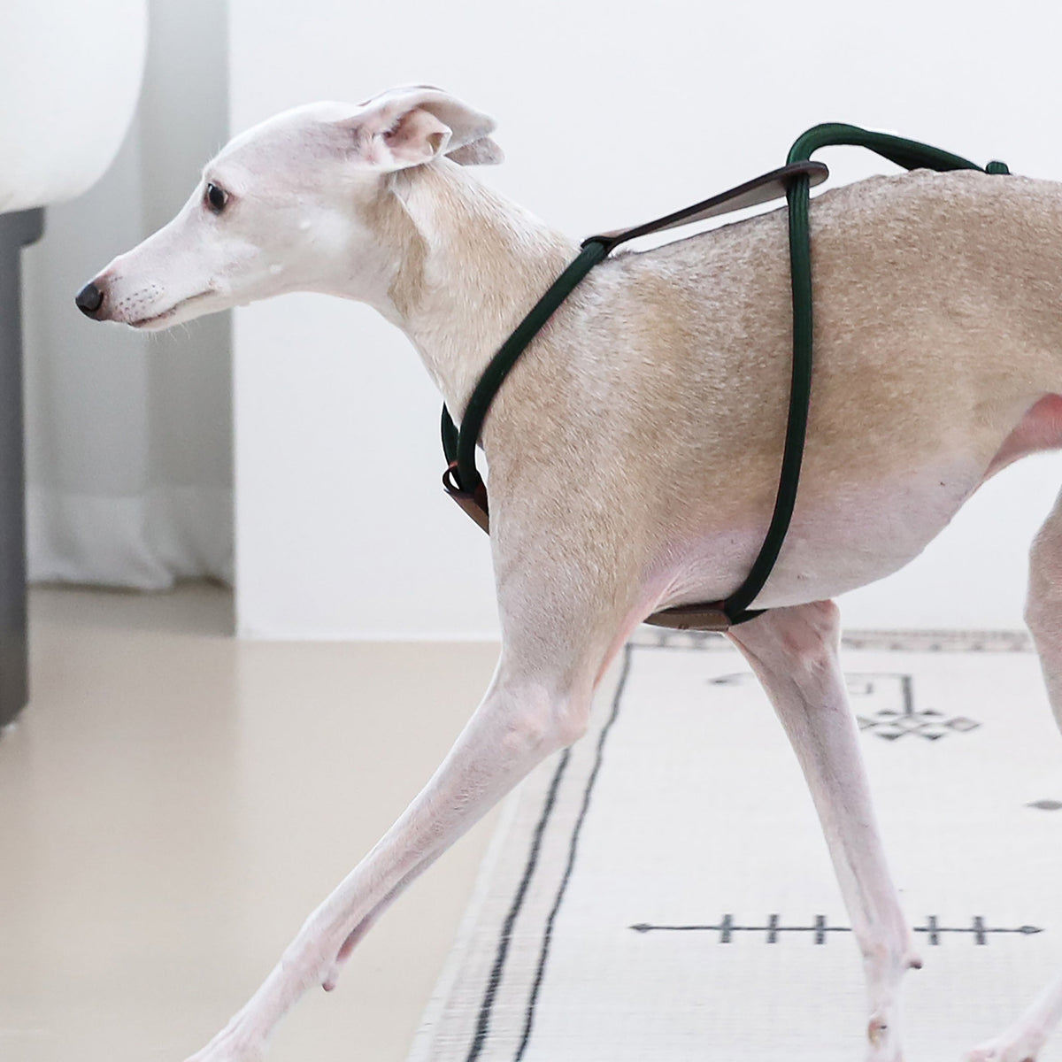 Essential Harness - Deep Green
