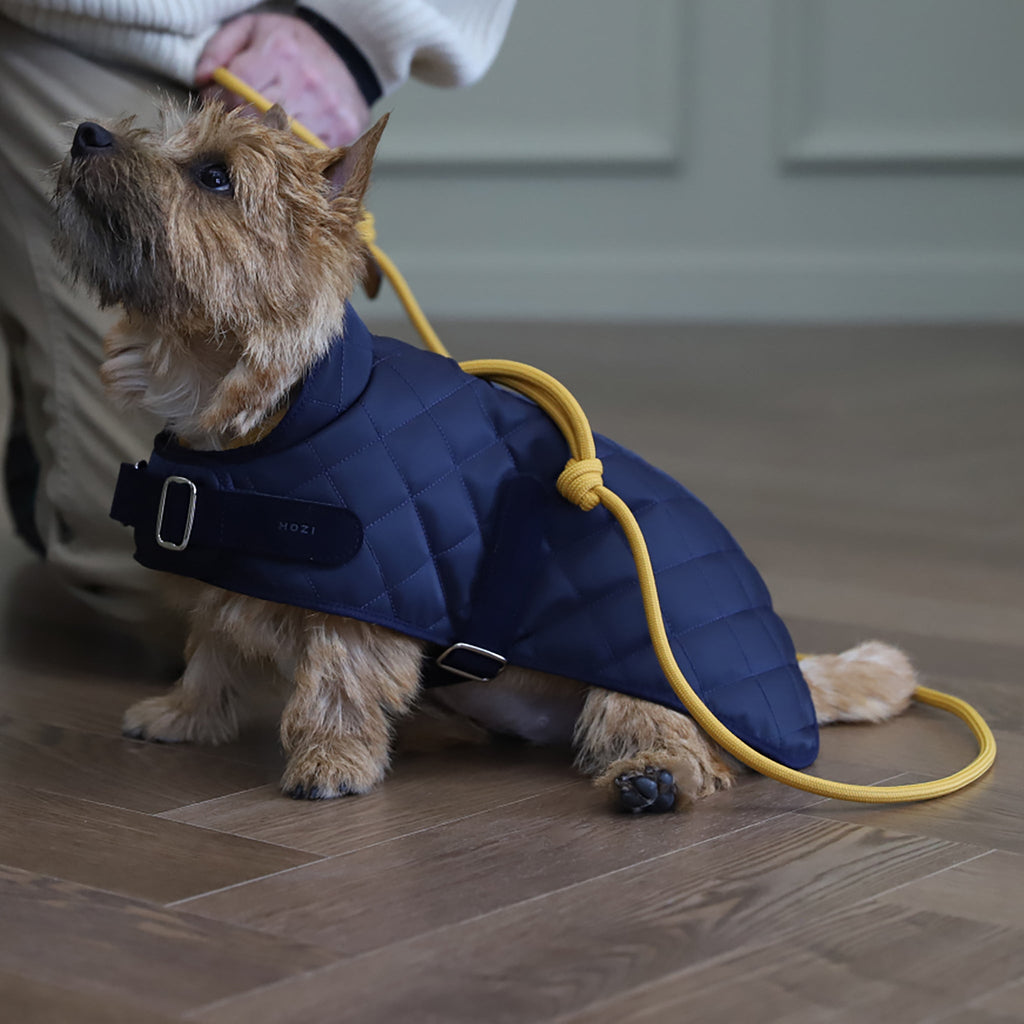 All-In-One Harness - Mustard