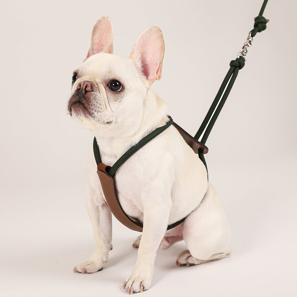 Essential Harness - Deep Green
