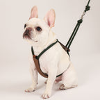 Essential Harness - Deep Green
