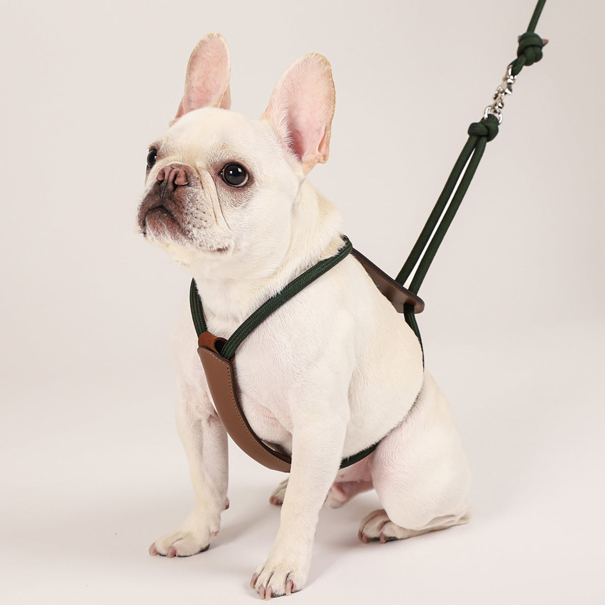 Essential Harness - Deep Green