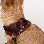 Saddle Harness : Burgundy