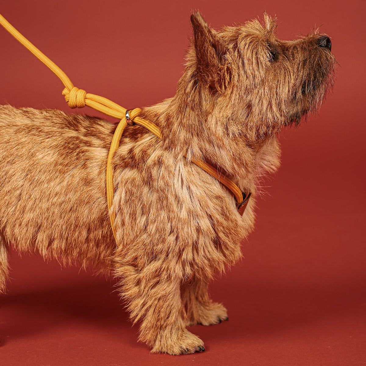 All-In-One Harness - Mustard