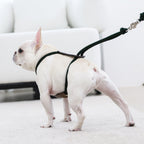 Essential Harness - Deep Green