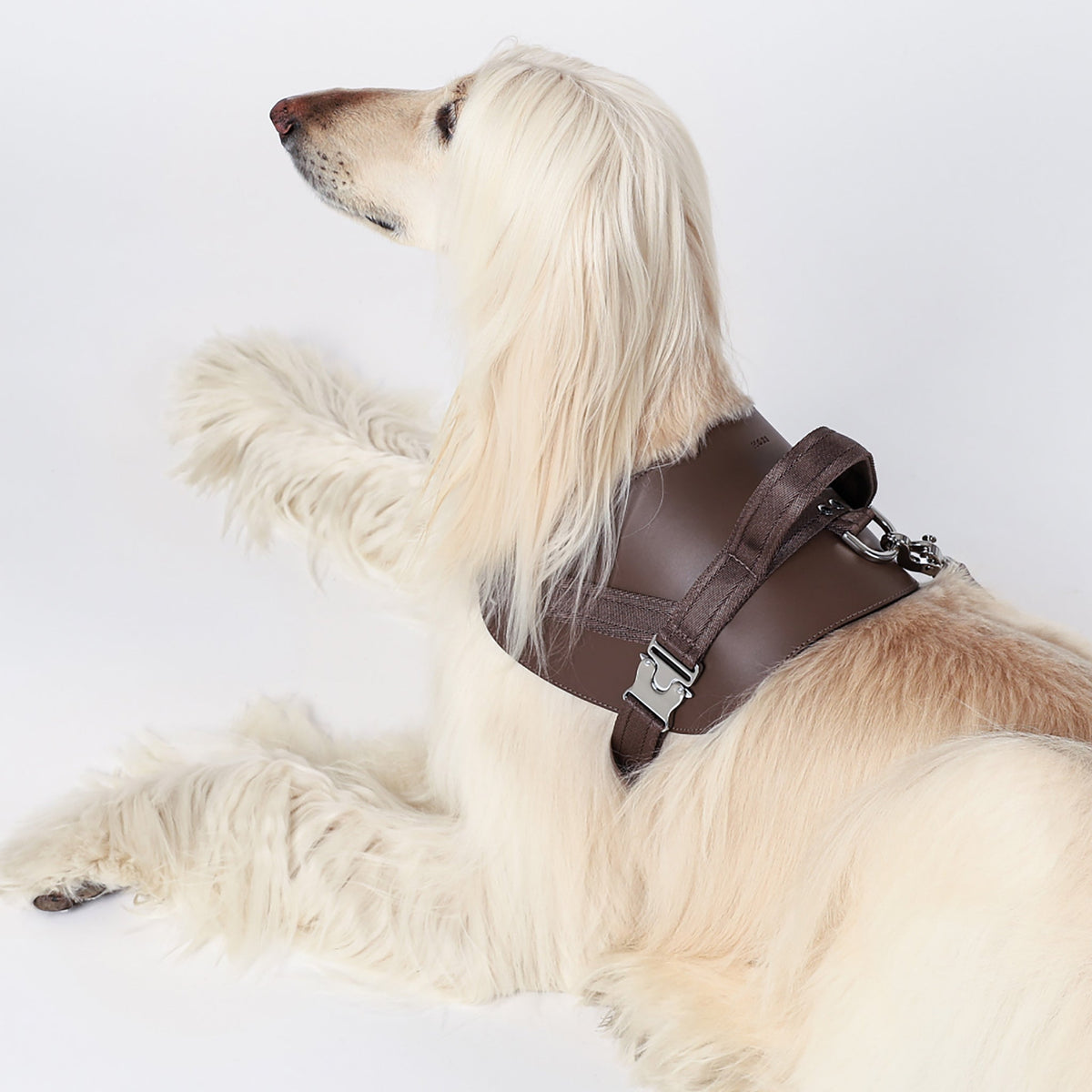 Saddle Harness : Pink