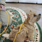 All-In-One Harness - Mustard