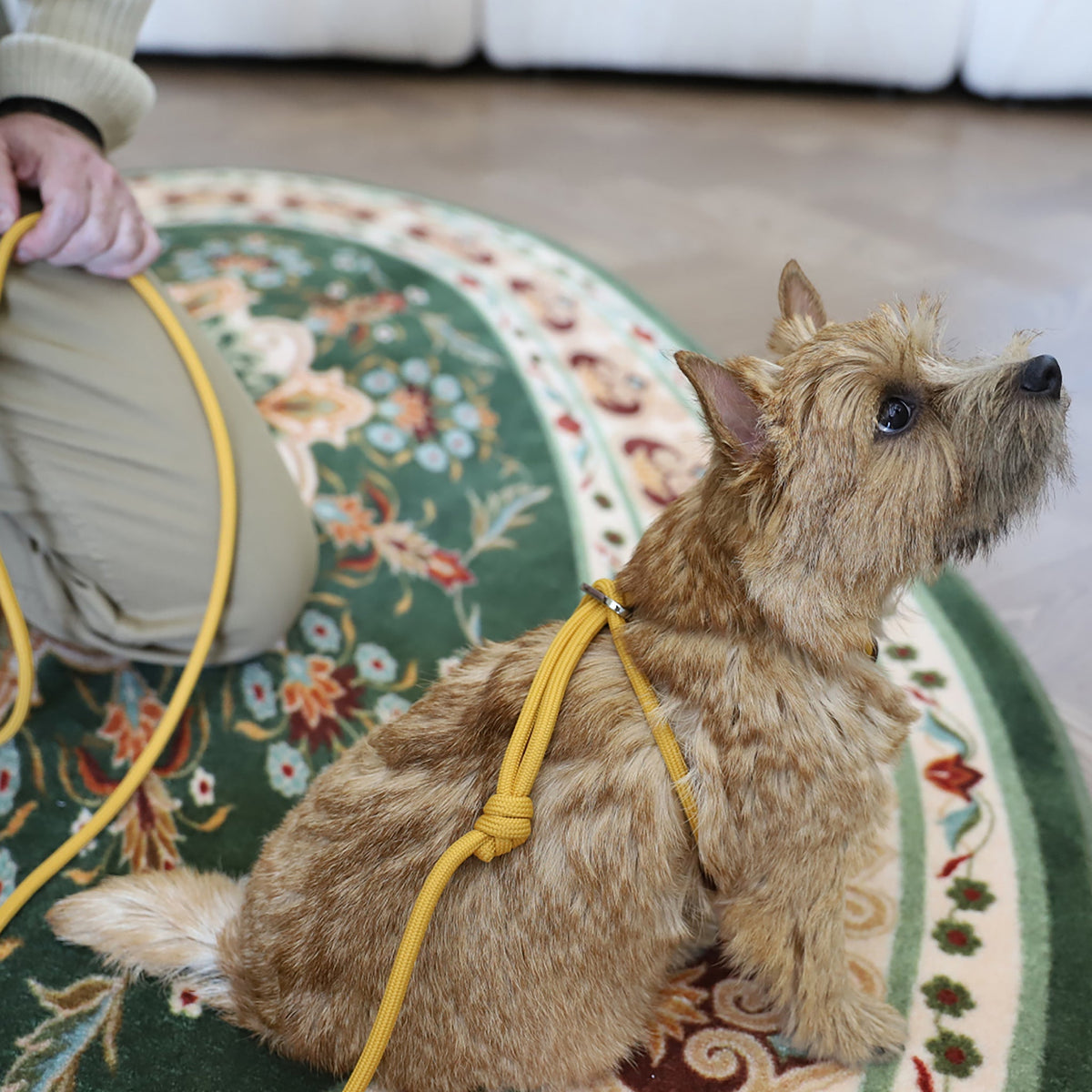 All-In-One Harness - Mustard