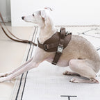 Saddle Harness : Pink