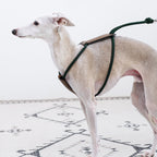 Essential Harness - Deep Green