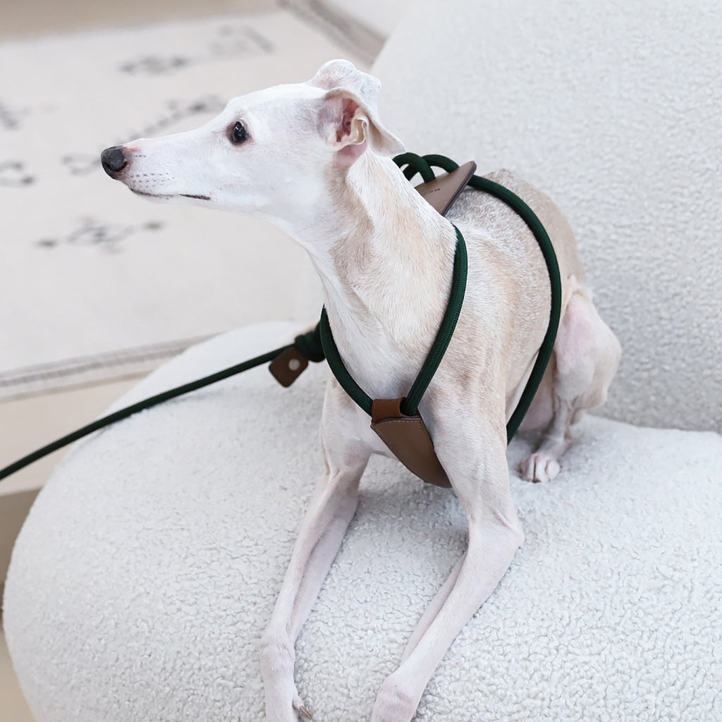 Essential Harness - Deep Green
