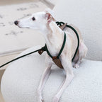 Essential Harness - Deep Green