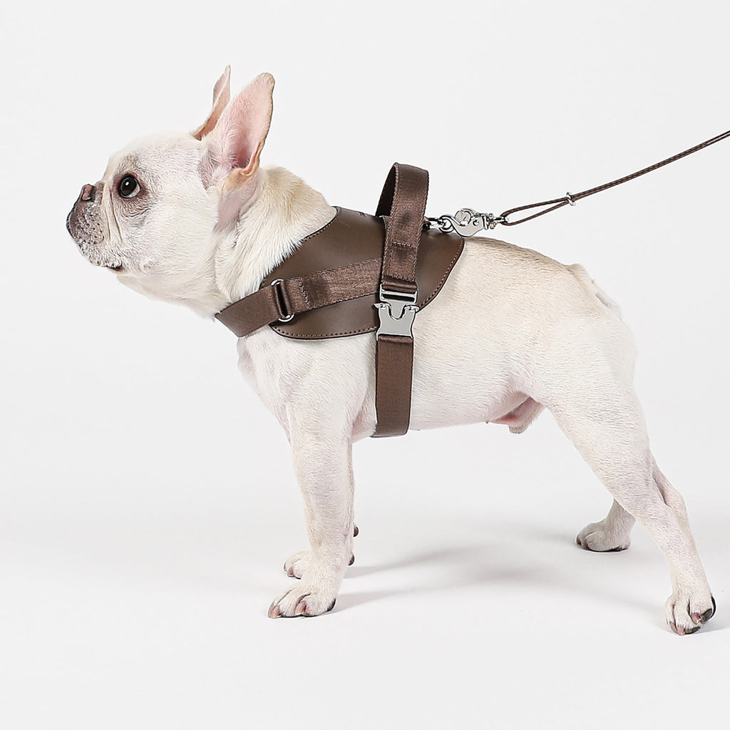 Saddle Harness : Mocha