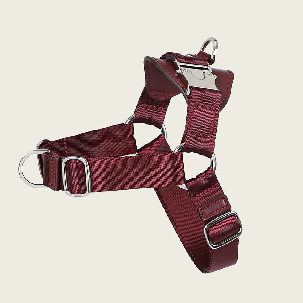 Horsebit Harness : Burgundy