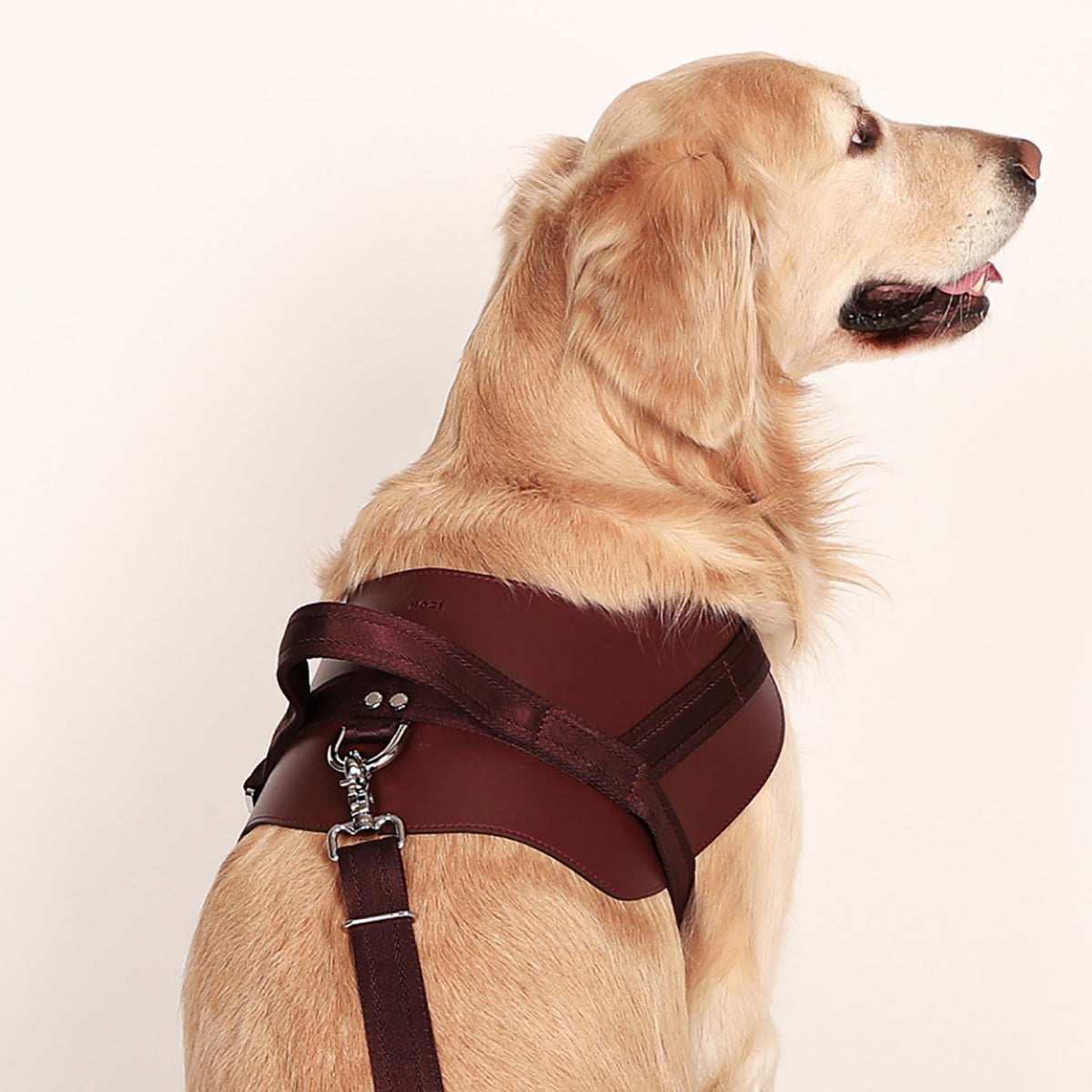 Saddle Harness : Burgundy