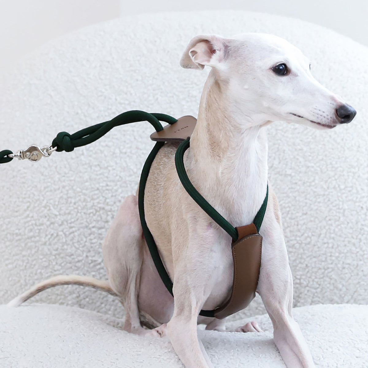 Essential Harness - Deep Green