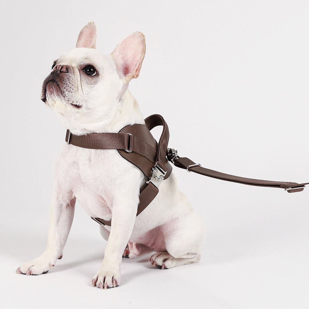 Saddle Harness : Pink