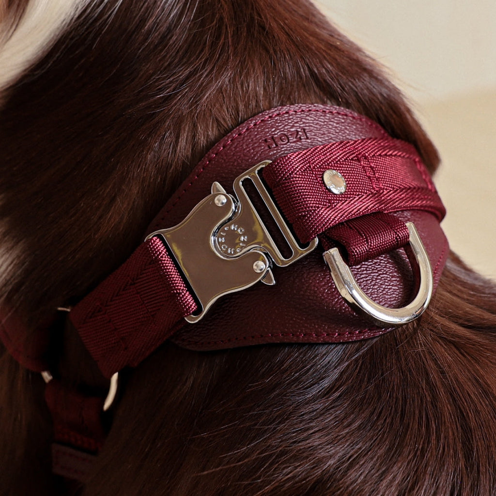 Horsebit Harness : Burgundy