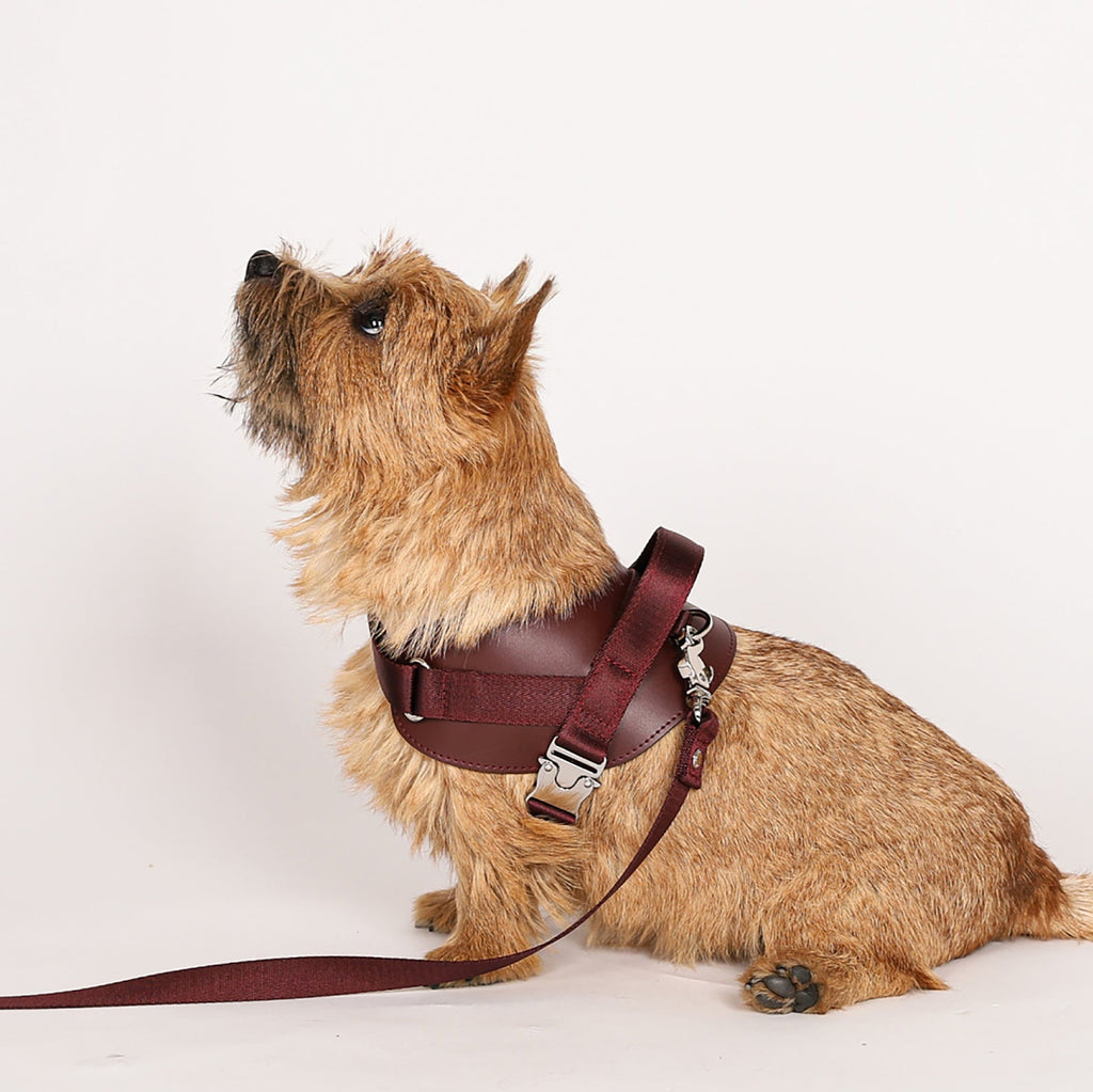 Saddle Harness : Burgundy