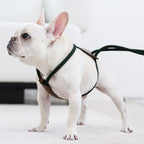 Essential Harness - Deep Green