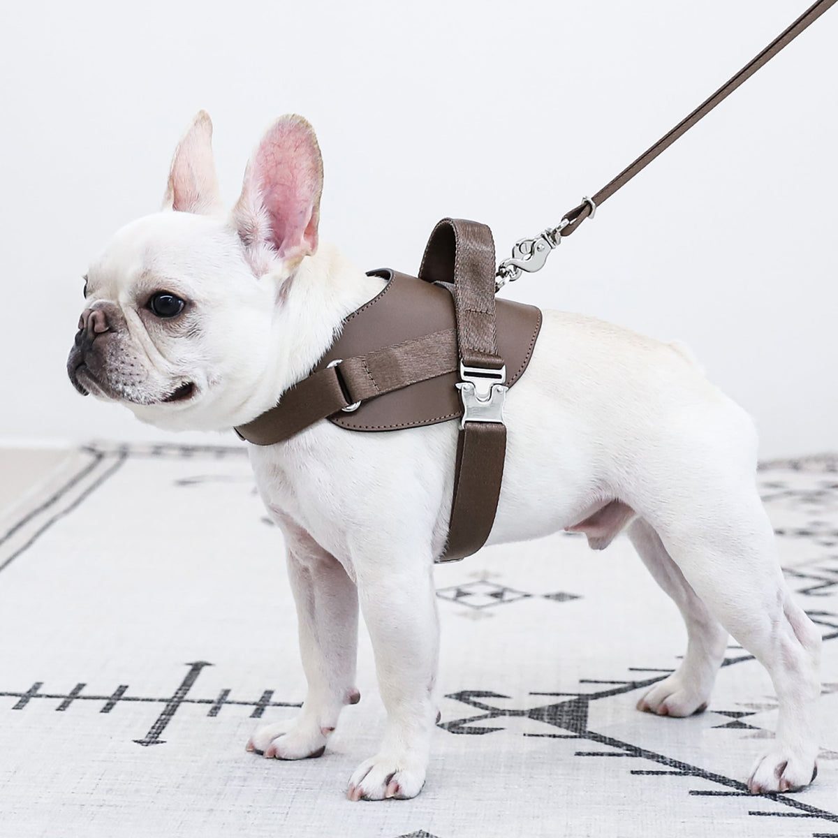 Saddle Harness : Mocha