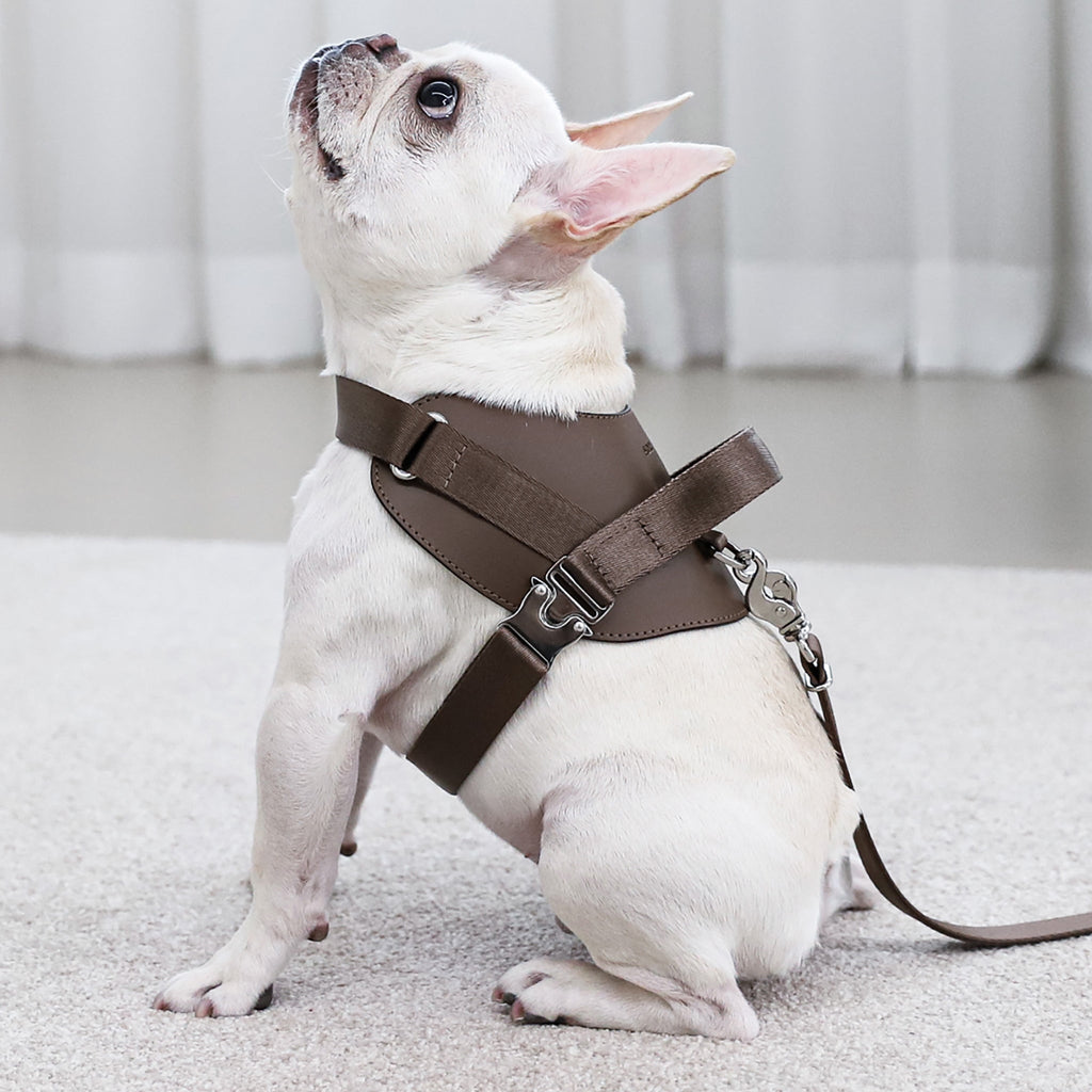 Saddle Harness : Pink