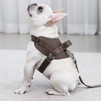 Saddle Harness : Pink
