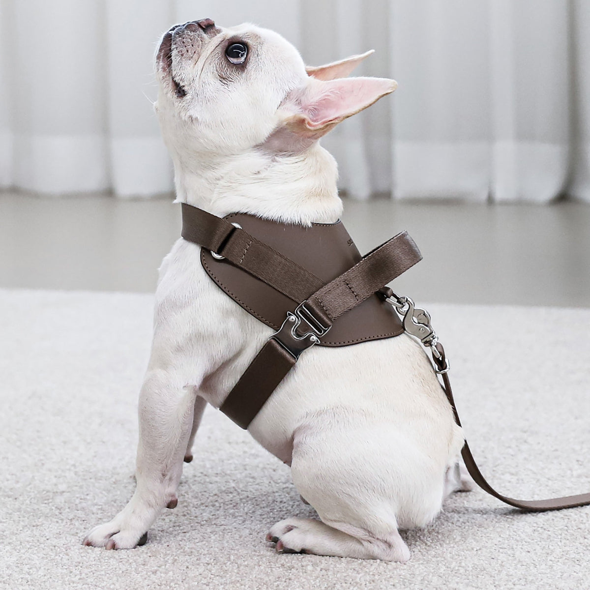 Saddle Harness : Pink