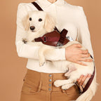 Saddle Harness : Burgundy