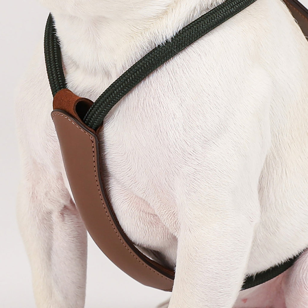 Essential Harness - Deep Green