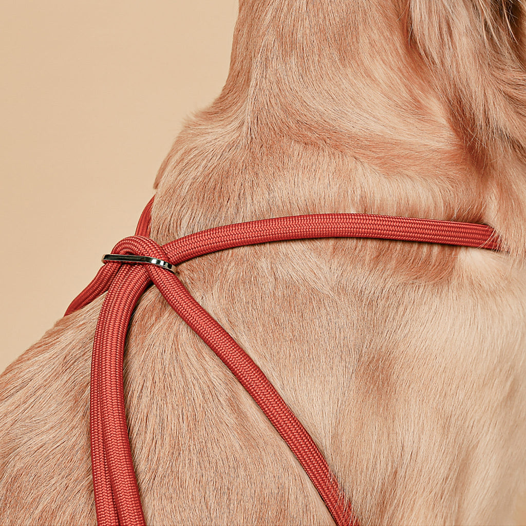 All-In-One Harness - Orange